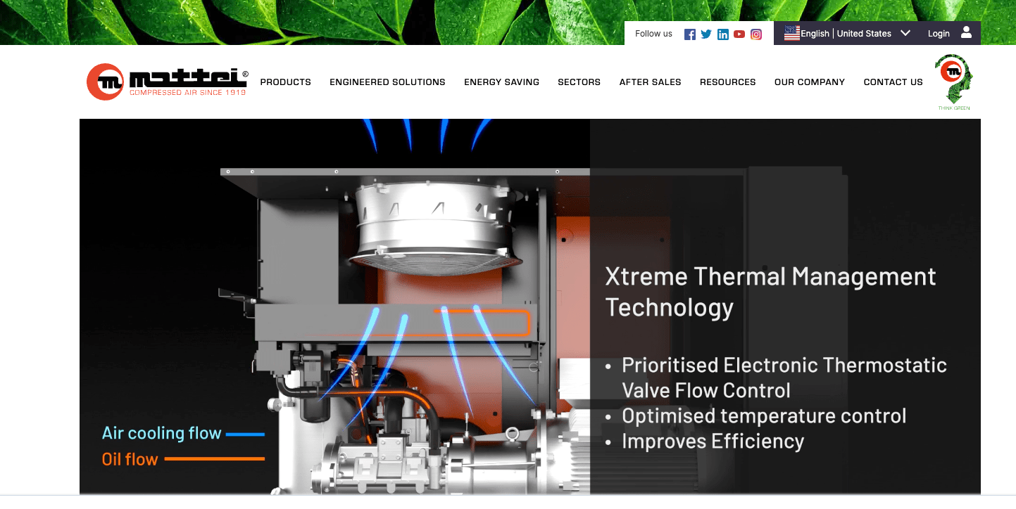 Mattei group home page with video min