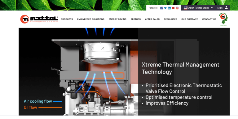 Mattei group home page with video min