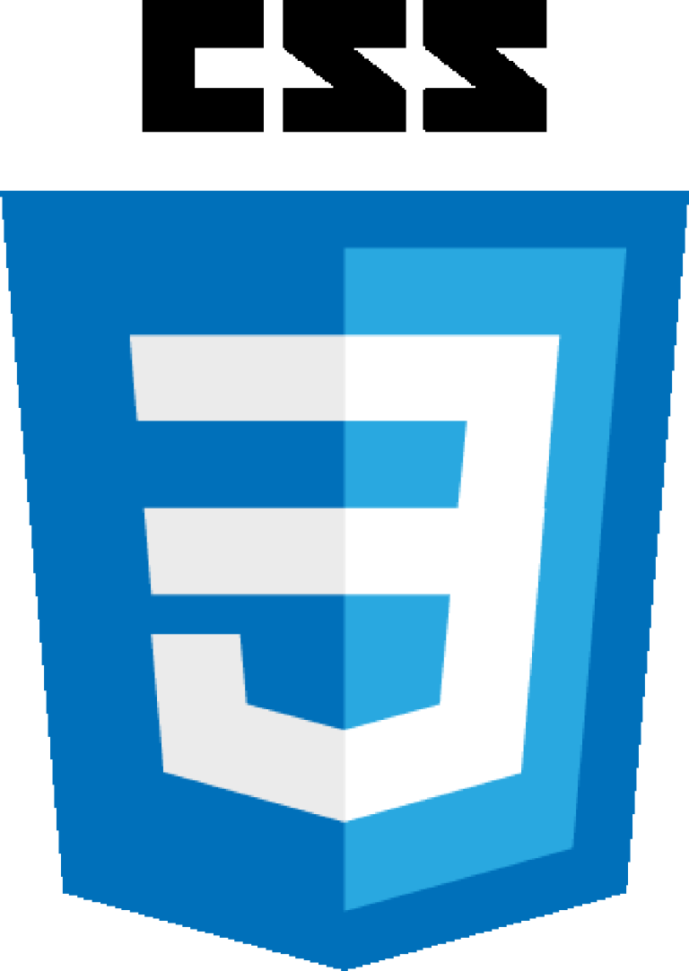 The CSS Logo
