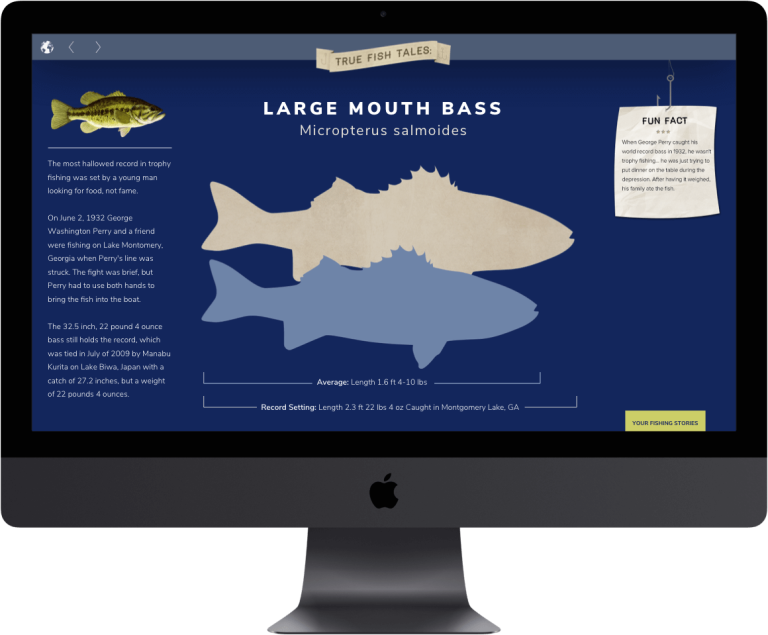 Fish Tales infographic on a computer monitor