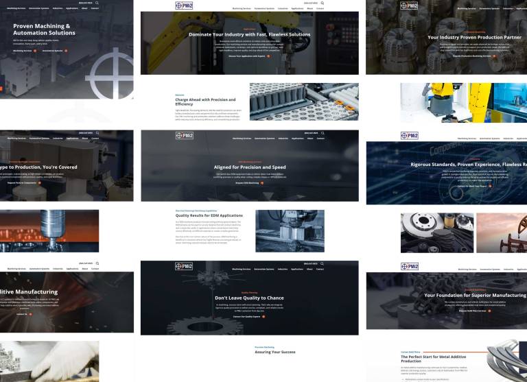 Example pages of the pmi2 site