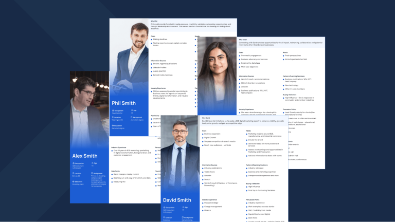 Collection of personas developed for the ZEON SMI website redesign project