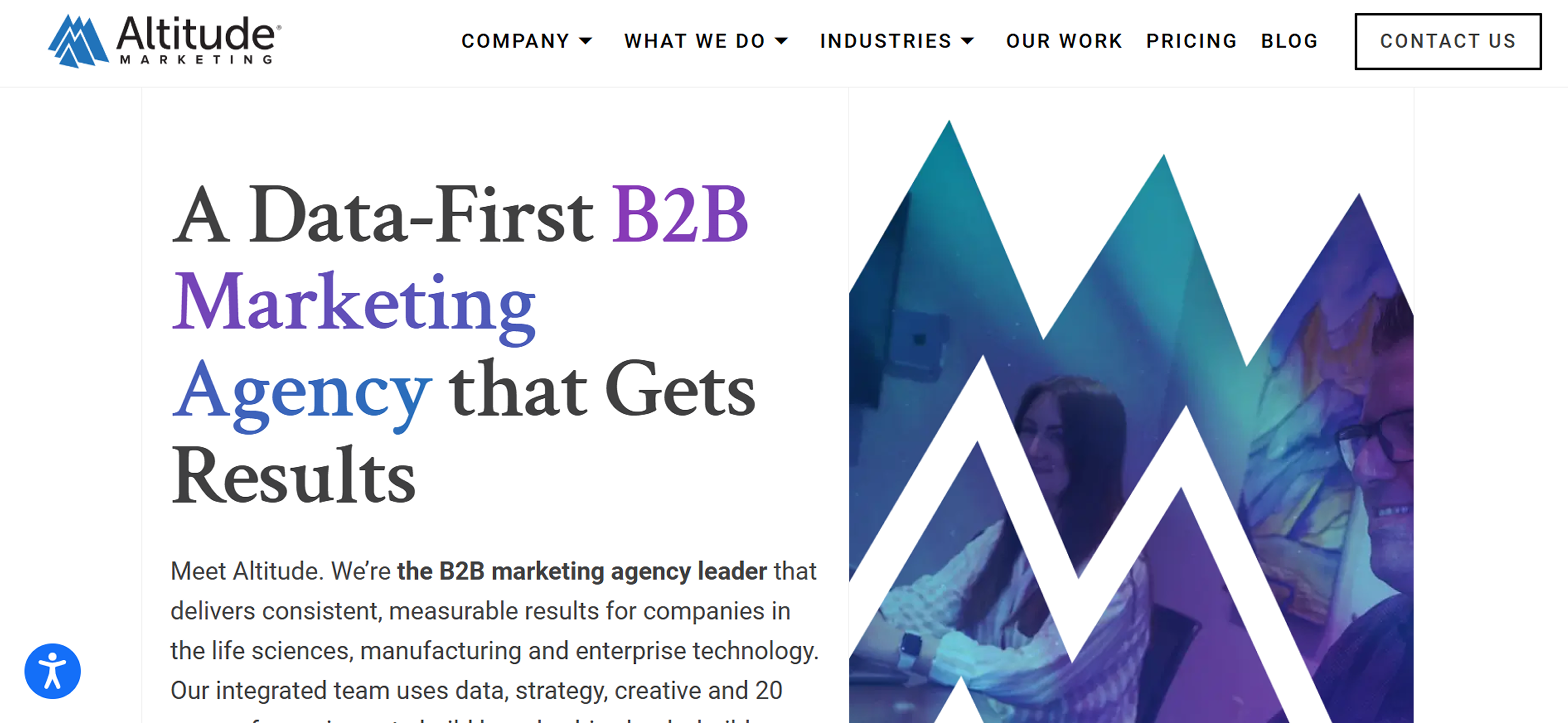 altitude marketing home page