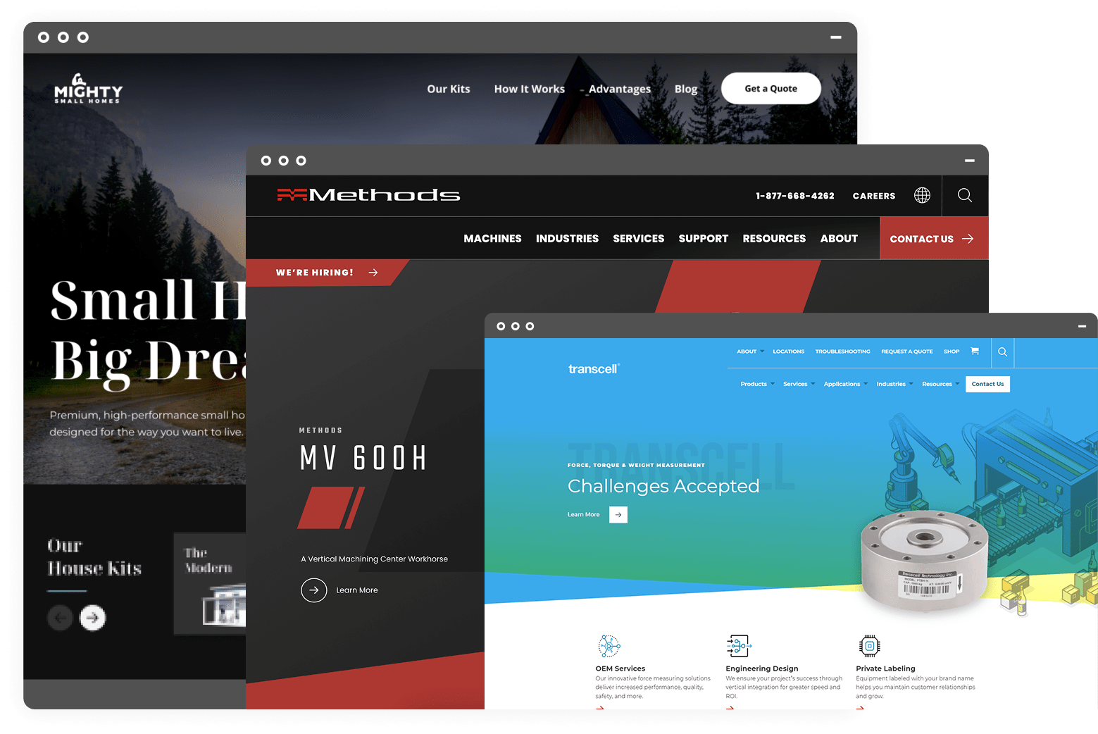 Example screens of B2B websites from DBS Interactive
