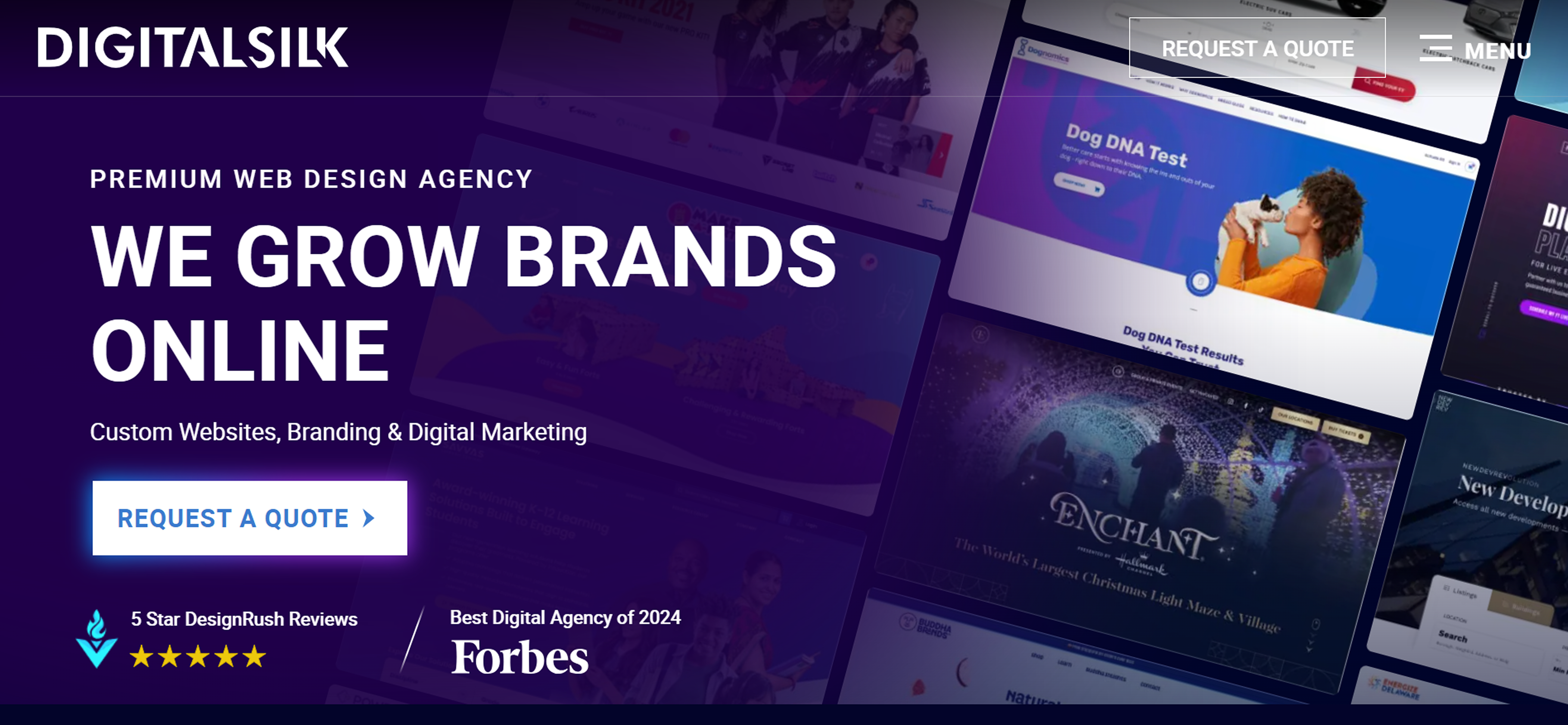 Digital silk home page