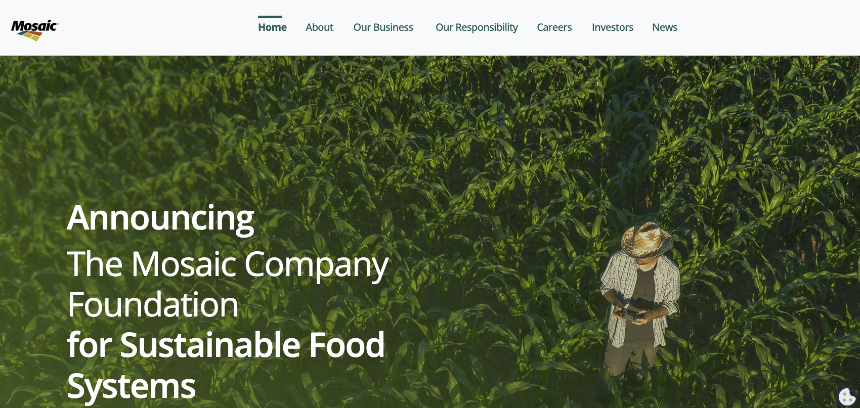 Mosaic chemical home page desktop