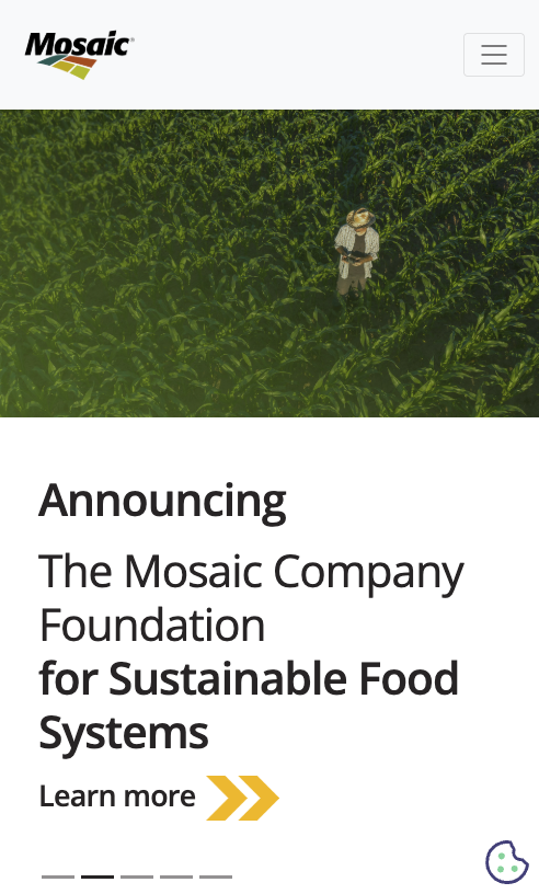 View of one of five mosaic mobile hero images