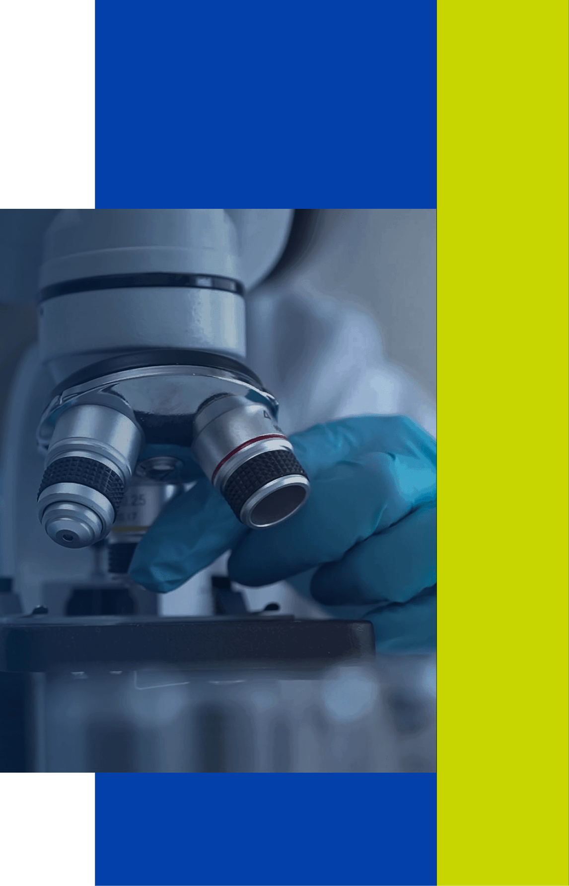 Zeon port 2col right