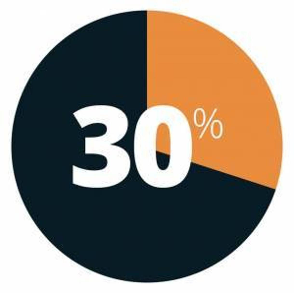 Pie chart showing 30%