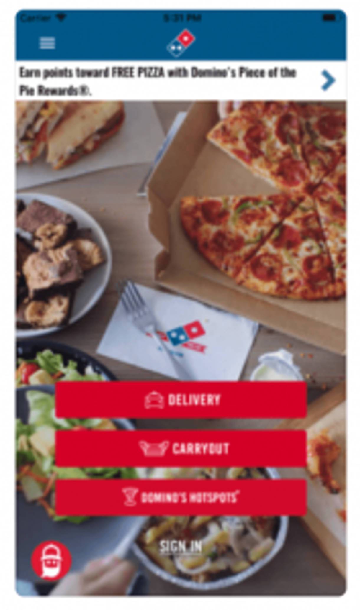 ada compliance Dominos Pizza App DBS Interactive