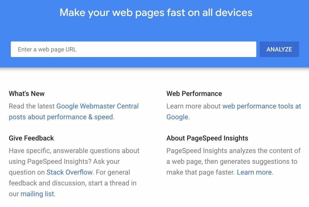 screenshot of Google PageSpeed Insights tool