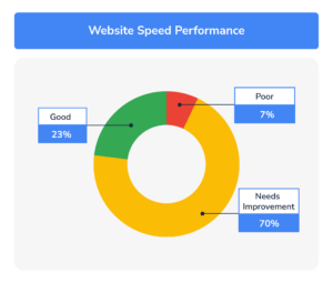 skilled nursing website performance report