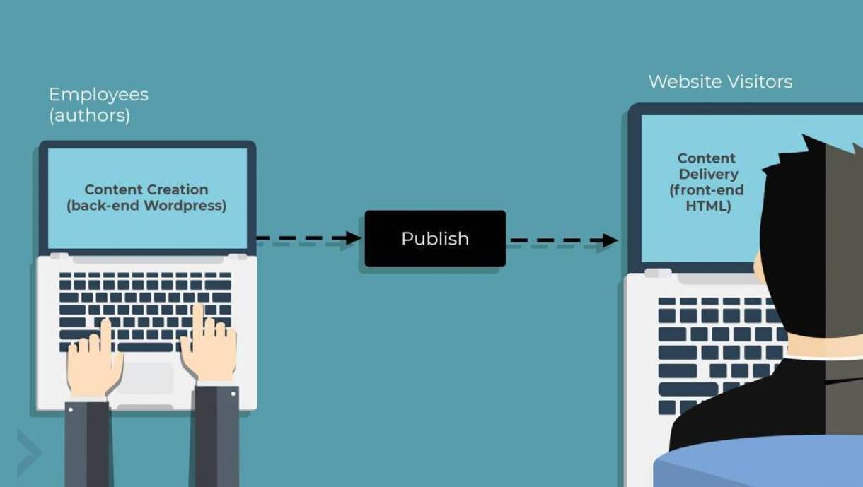 illustration of back-end and front-end website