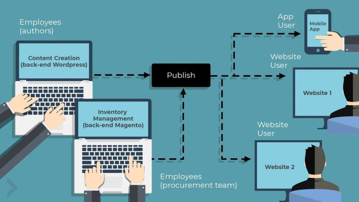 illustration of decoupled two back-end system publishing