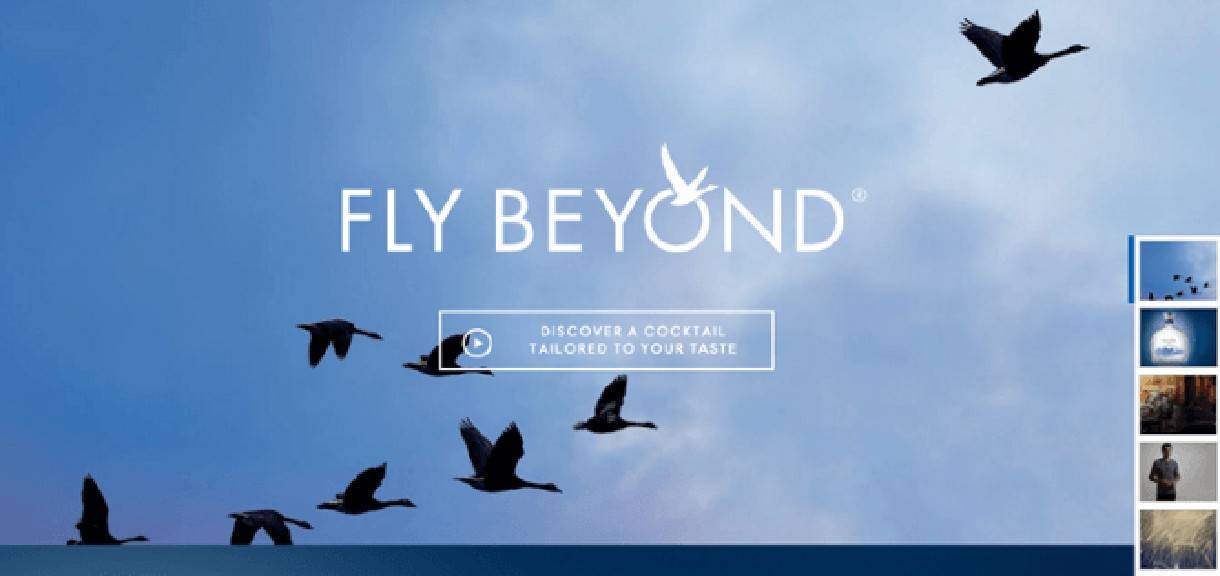 Call to Action Example showing flying geese from Grey Goose