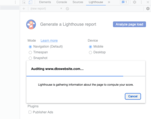 screenshot of Google Lighthouse running analysis on a website