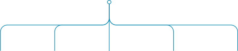 Paths depicting a network